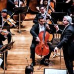 Violoncelo: Grande e tocado apoiado ao chão - Instrumentos de orquestra - Divulgação