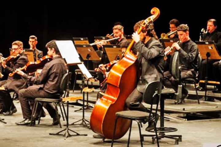 Contrabaixo: O maior e mais grave das cordas, com som encorpado e profundo. Originado na Europa no sÃ©culo XV, evoluiu do violone renascentista. Fornece a base harmÃŽnica e rÃ­tmica, sustentando toda a orquestra.