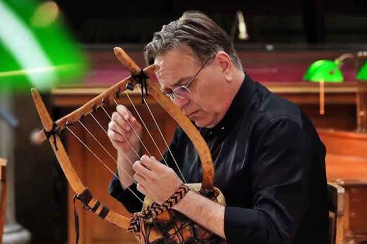 Raramente a lira é  usada em música contemporânea. É comum apenas em apresentações históricas e estudos de música antiga, principalmente em concertos eruditos.