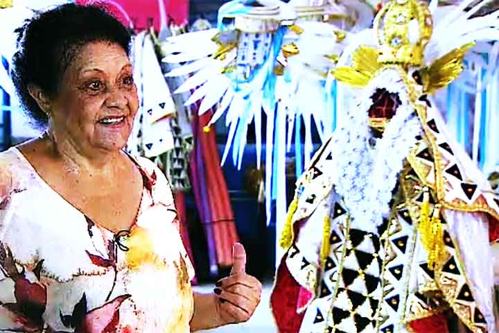 <p>Quem também tem espaço no carnaval são as pena palito. Elas são usadas para compor fantasias de carnaval, decorar ambientes e fazer artesanatos.</p>
