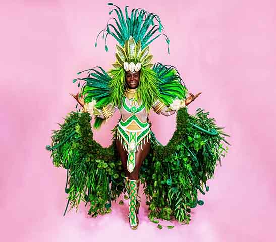 <p>As plumas são materiais nobres utilizados em fantasias de carnaval, principalmente por passistas, musas e destaques. As plumas podem ser de animais como faisões, galos, pavões, gansos e cisnes (de forma artificial).</p>
