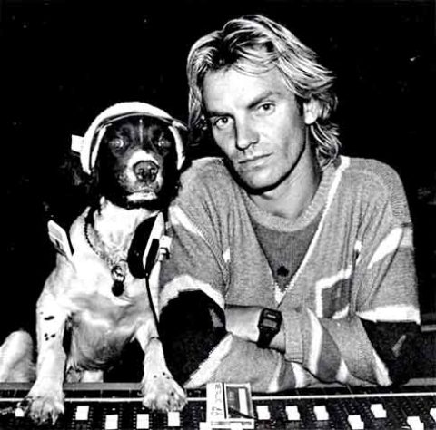 Sting