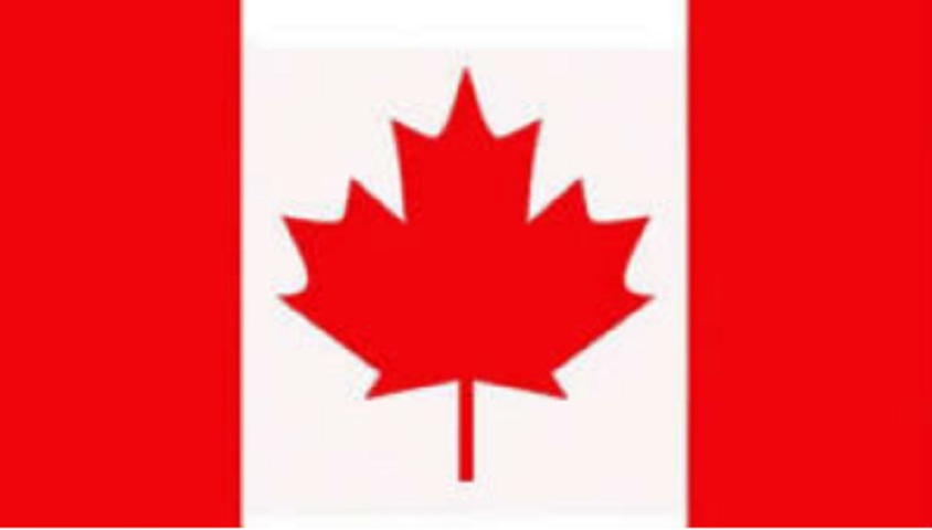 A bandeira do Canadá exalta a natureza do país, representada por uma estilização da folha de bordo, muito comum no território canadense. 