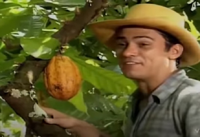A trama da obra consistia na vida de José Inocêncio, um fazendeiro da zona cacaueira de Ilhéus, na Bahia, que desenvolve um ódio pelo filho mais novo, já que sua mulher morreu após o parto. Contou com a participação de Antônio Fagundes, Marcos Palmeira, Adriana Esteves e Tarcísio Filho.