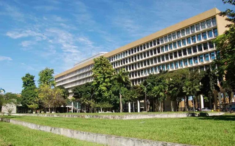 Cientista Tatiana Sampaio e o trabalho para reverter lesões na medula espinhal