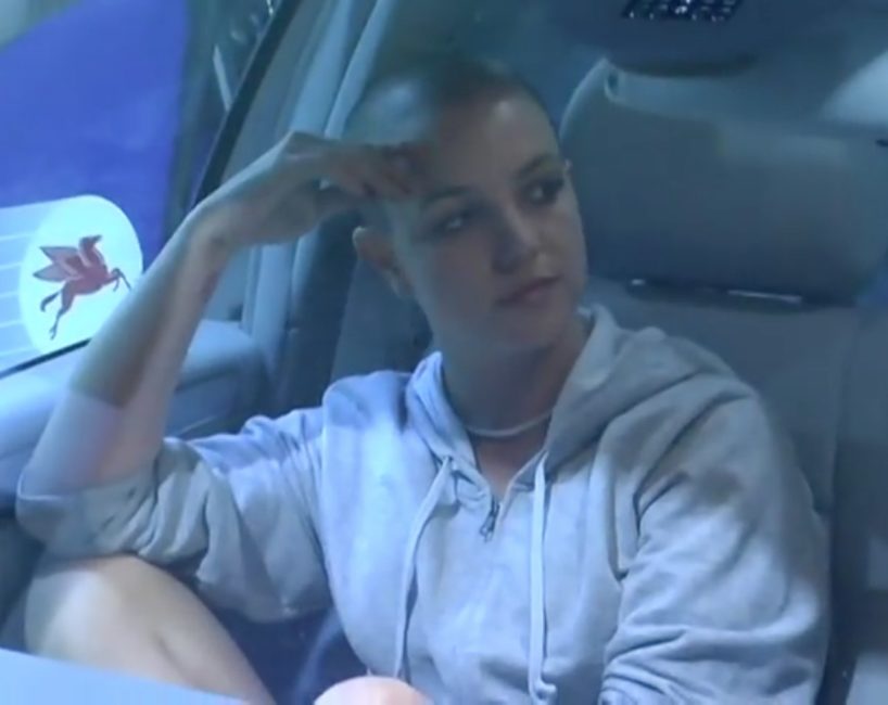 O ano de 2007 se tornou um dos mais difíceis da vida da artista, marcado pelo episódio em que raspou a cabeça, pelo ataque a paparazzi com um guarda-chuva e por sucessivas internações em clínicas de reabilitação.
