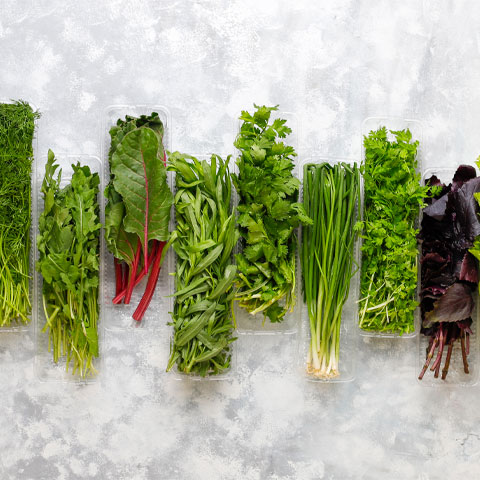 Nas saladas, é essencial lavar bem as folhas em água corrente para evitar bactérias. Também convém não usar molhos muito gordurosos, que podem irritar o sistema digestivo.