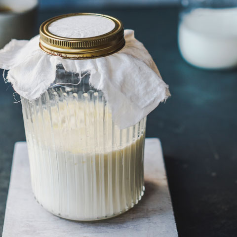 O kefir é uma bebida fermentada produzida com microrganismos cultivados, normalmente, em leite de vaca, cabra ou ovelha. É rico em vitaminas, cálcio, magnésio, enzimas e probióticos.