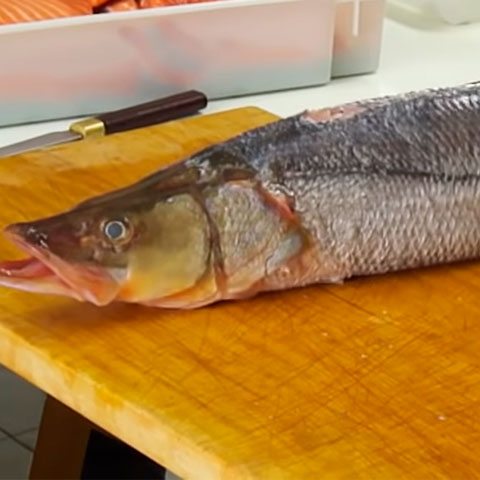 Os peixes têm carne mais suave que as carnes suína ou bovina e podem ser mais pobres ou mais ricos em gordura. Os magros incluem linguado, namorado e robalo; já atum, salmão e sardinha estão entre os mais gordos.