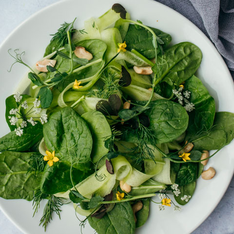 E agora vamos a um alerta. Existem alimentos que não devem ser congelados. Entre eles, salada de folhas cruas, maionese, gelatinas ou alimentos à base de gelatina, claras em neve ou cozidas.