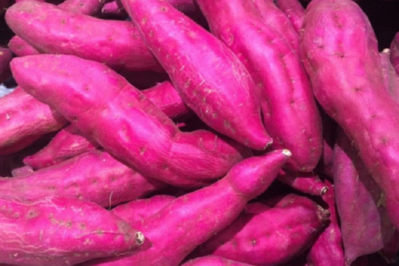 A batata-doce também é uma aliada no ganho de massa muscular, tornando-se uma escolha ideal para quem deseja fortalecer o corpo de forma saudável. - Divulgação/Secretaria de Agricultura e Abastecimento