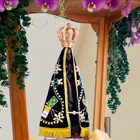 As diversas manifestações de  Maria  a Santa Mãe de Jesus, também têm muitos devotos por todo o Brasil. Nossa Senhora Aparecida é a padroeira do país.