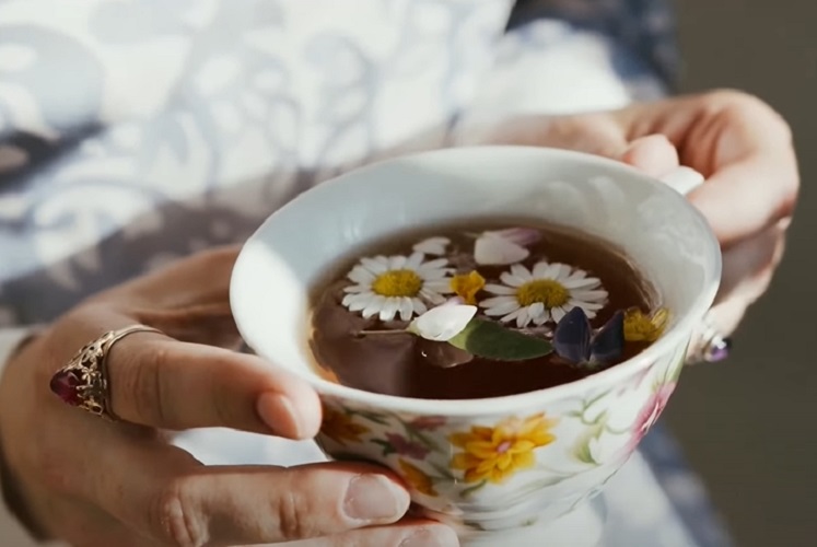 Os receptores GABA são os mesmos ativados por alguns calmantes leves, e a apigenina consegue interagir com eles. Essa ligação favorece a diminuição da tensão muscular e da ansiedade, aproximando o efeito da camomila ao de medicamentos, mas de forma natural e suave. É essa ação que torna o chá uma opção popular para quem busca descanso sem recorrer a fármacos.
