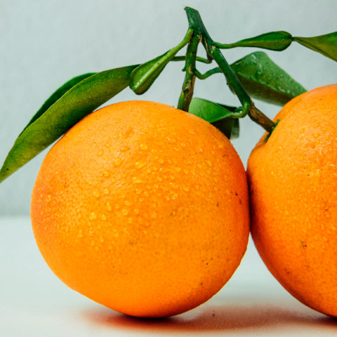 Frutas cítricas - Laranja, limão e tangerina têm alto teor de ácido e pectina, e isso favorece a formação de geleias firmes com sabor refrescante.