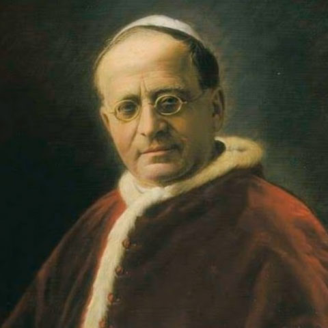 Em 1930, foi o Papa Pio XI que definiu, no Catolicismo, a Nossa Senhora de Aparecida como Padroeira do Brasil.