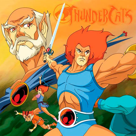 Felinos guerreiros vivem várias aventuras no planeta de Thundera. Com o fim de seu mundo, eles vão para um novo planeta e precisam lutar contra Mumm-Ra para defender seu lar.