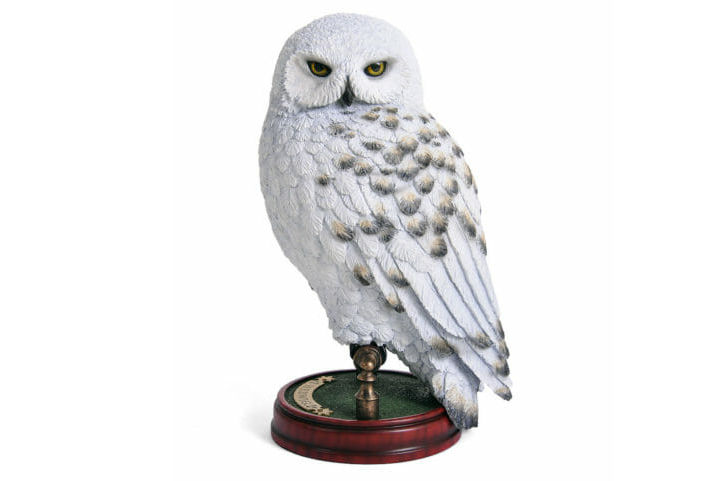 O nome "Hedwig" é uma homenagem à Santa Hedwig, a padroeira da Silésia e da Polônia, e também é um nome que possui raízes germânicas e significa "batalha justa". 