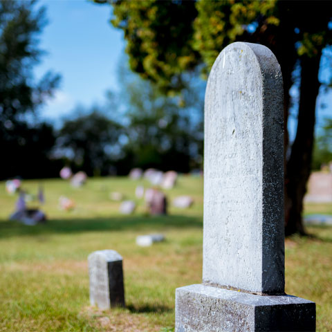 Como surgiu a data? A tradição remonta ao século X, na abadia beneditina de Cluny, na França, sob orientação do abade Odilo (ou Santo Odilon, 962–1049).-Freepik/wirestock 