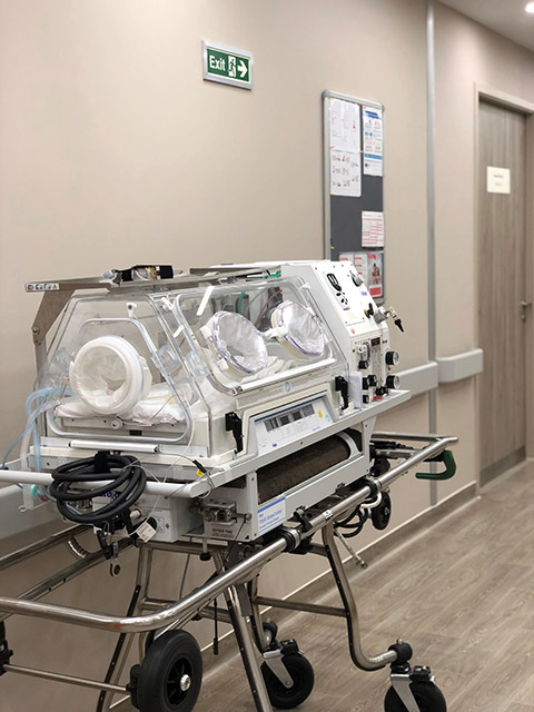 <p>O Novembro Roxo, para lembrar os cuidados com os prematuros, surgiu na EFCNI (European Foundation for the Care of Newborn Infants), parceira da ONG Prematuridade.com, durante uma reunião sobre o tema. </p>
