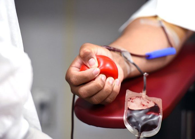 Solidariedade que salva:  Uma única bolsa de sangue pode ajudar 4 pessoas