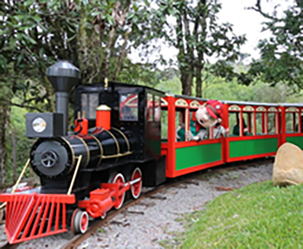 Mundo a Vapor (Canela-RS):  Museu sobre máquinas que funcionavam a vapor, como olaria e ferraria. A fachada reproduz um famoso acidente em Paris, em 1895, quando uma locomotiva atingiu a estação de Montparnasse. Foi construído nos anos 90 pela família Urbani, dona de oficina mecânica. -Mundo a Vapor wikimedia commons 