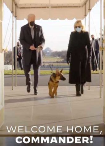 Casa Branca tem novo “Primeiro-Cão”. Cachorro vive no bem-bom!