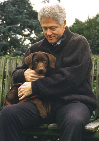 Bill Clinton - Político, ex-presidente dos Estados Unidos, passou a abrir mão de carnes, ovos e laticínios por causa de problemas cardíacos. Ele chegou a fazer cirurgias. Sentiu-se melhor como vegano e disse que, assim, espera viver mais tempo. 