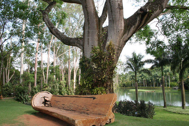 Essa transformação culminou na abertura ao público em 2006, quando o local passou a funcionar como um museu a céu aberto e jardim botânico.