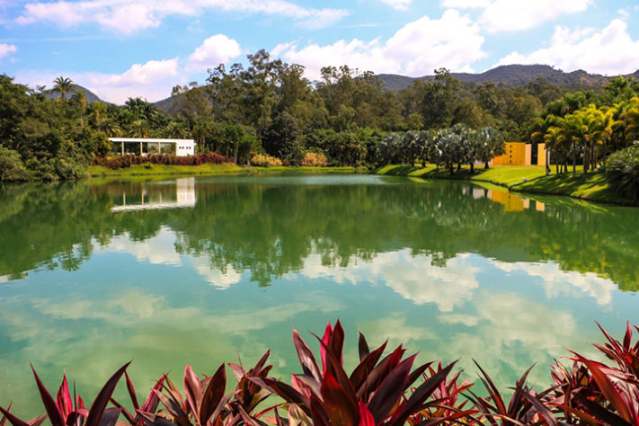 Instituto Inhotim, Minas Gerais - Wikimedia Commons/JMárcio Cruz 