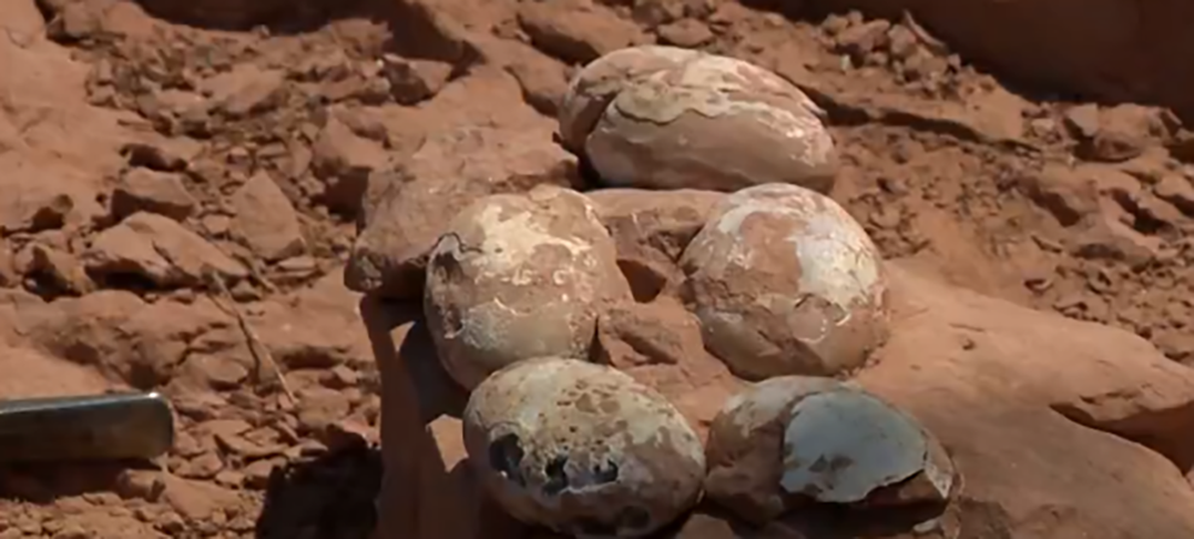 Ovos de dinossauro de 60 milhões de anos são encontrados em São Paulo - Reprodução TV Fronteira 