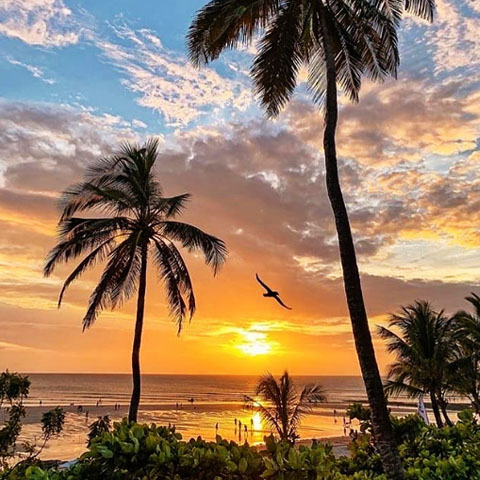 Três cidades do Nordeste são os destinos mais procurados pelos turistas em 2023