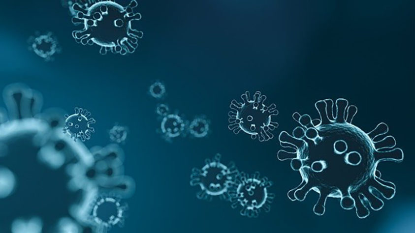 Dengue no Brasil