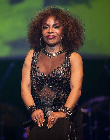 Nos Jogos Pan-Americanos de 2007 no Rio de Janeiro, Elza interpretou o Hino Nacional Brasileiro, no início da cerimônia de abertura do evento, no Maracanã e lançou o álbum 