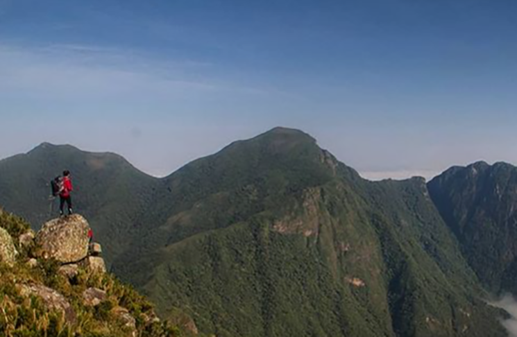 O New York Times ressaltou que a Mata Atlântica é um dos ecossistemas mais ricos da Terra e que a criação da trilha é um esforço que serve para "inspirar, encantar e motivar a explorar o mundo". 