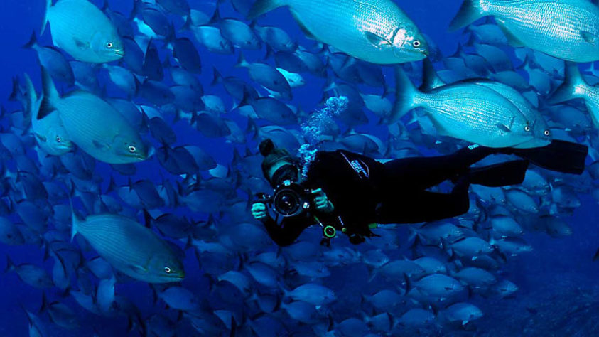 'Homens-peixe': Povo bajau consegue ficar 10 minutos debaixo d'água