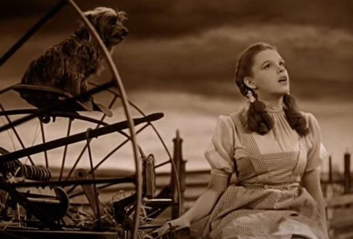 Apesar de todas as dificuldades, o filme foi aos poucos se tornando um dos maiores clÃ¡ssicos da histÃ³ria do cinema e de quebra ainda eternizou uma das canÃ§Ãµes mais famosas de todos os tempos, â??Over the Rainbowâ?.