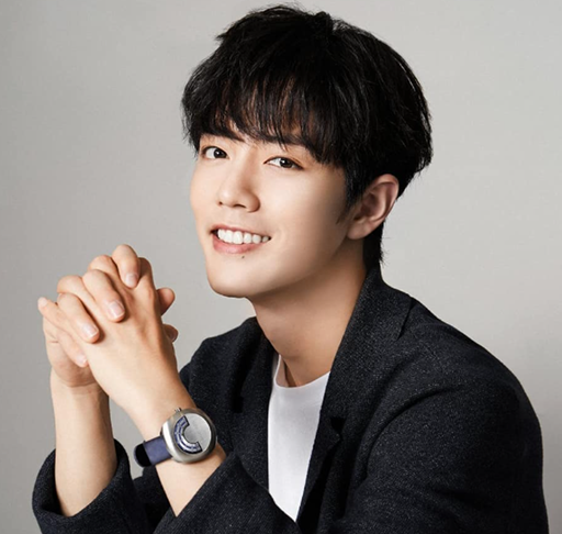 Xiao Zhan – ator e cantor chinês. Nascido em 5 de outubro de 1991, em Chongqing, destaca-se pelos traços delicados, sorriso suave e presença elegante.