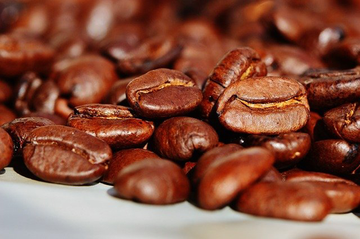 O Vietnã é o segundo maior exportador de café do mundo, atrás apenas do Brasil. O grão foi introduzido pelos franceses no país na década de 1950 e sua popularização avançou rapidamente. 