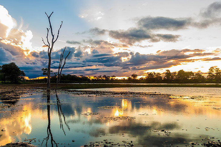  Em outro projeto, também no Centro-Oeste, uma parte do Mato Grosso e outra do Mato Grosso do Sul seriam desmembradas para a formação do estado do Pantanal. - Filipefrazao wikimedia commons 