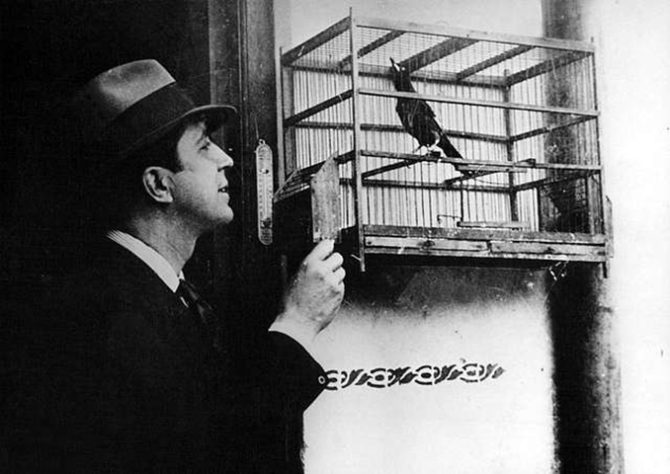 Carlos Gardel