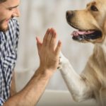 Quando passamos o dia com um cachorrinho percebemos como os cães são inteligentes, carinhosos e possuem características próprias. Nessa galeria temos 10 curiosidades sobre os cães que provavelmente você não sabia e que irão te ajudar a entender melhor o seu "amigão". Confira!