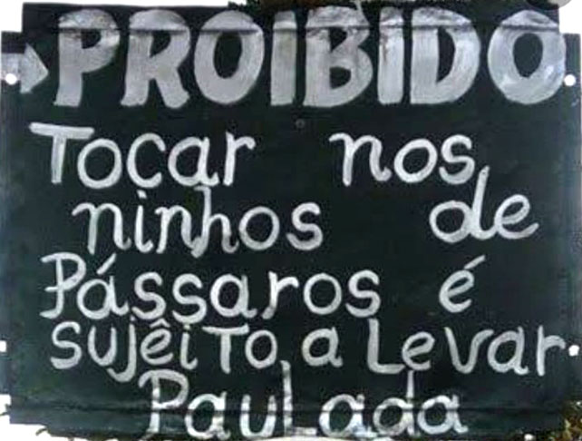 Aqui tem mais um bem nervoso: "Proibido tocar nos ninhos de pássaros. Sujeito a paulada".