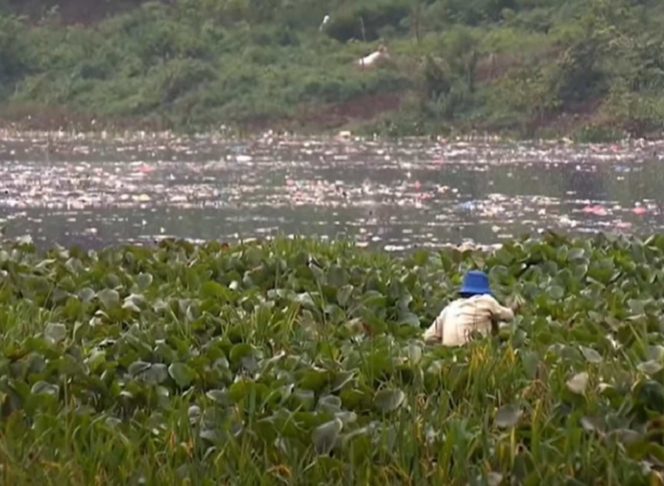 Maior arquipélago do mundo, a Indonésia possui 2.838 km³ de água doce e própria para o consumo por ano. Os rios Kapuas e Brantas são bem conhecidos.