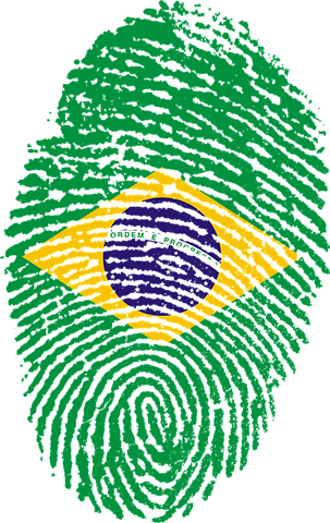  Para que um novo estado seja criado, é necessário, primeiro, que a população local aprove a proposta por meio de plebiscito. - Kurious pixabay