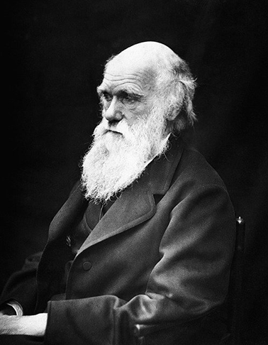 O dia 19 de abril marca a morte de um dos maiores cientistas da história. O naturalista, geólogo e biólogo britânico Charles Darwin revolucionou o pensamento com sua Teoria da Evolução, que propôs a descendência dos seres vivos a partir de um ancestral em comum.  -  (crédito: Wikilmages pixabay)