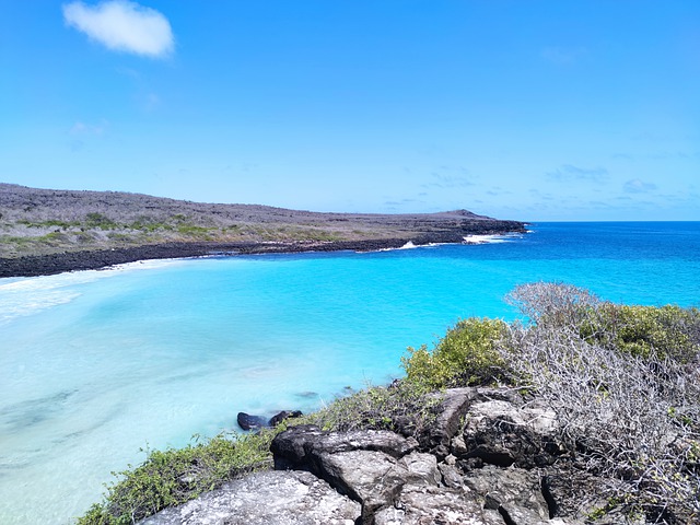 Conheça esse paraíso natural que abrigou o grande naturalista durante cinco anos, entrando para a história como um divisor de águas na ciência. Até hoje, Galápagos carrega essa fama de inspiração para o autor da Teoria da Evolução. 