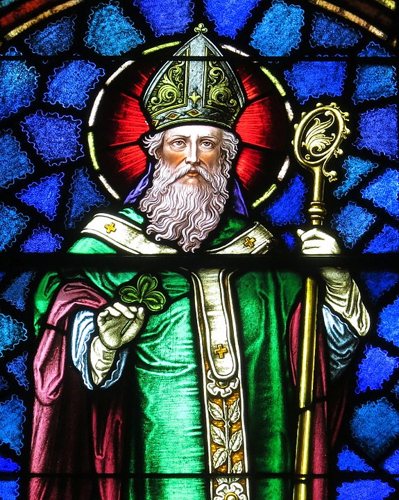 Ao fugir do cativeiro, seguiu para a Gália (atual França), onde ingressou num mosteiro.  Mas regressou à Irlanda em 432 e  começou a fazer pregações. Foi missionário e, depois, bispo.  