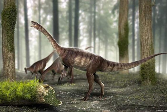 Dinossauros - Santa Maria RS — Reprodução/Facebook Dino Tchê