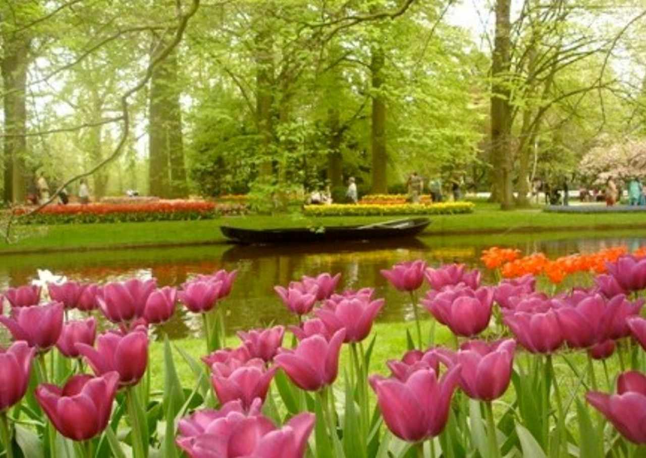 Em latim, esse nome quer dizer 