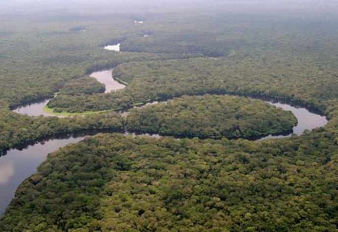 Floresta Amazônica